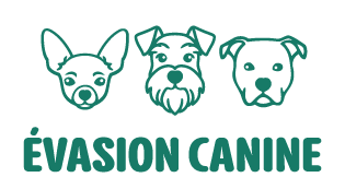 Évasion Canine