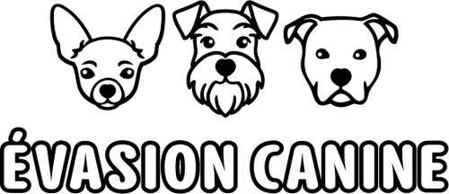 Évasion Canine